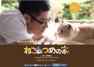 nekoatsume-movie.com