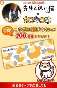 www.sensei-neko.com