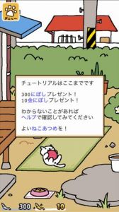 ねこあつめ初心者必見 最速攻略法 やるべき５つ最新ポイント ねこあつめ 初心者の部屋