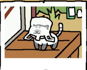 ねこあつめ攻略 しまぽいんとさんのグッズは安上がり もしや顔洗いしない猫 ねこあつめ 初心者の部屋