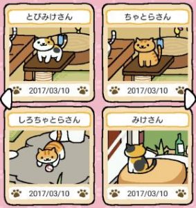 ねこあつめ アップデート最新ver攻略前にやるべき４つのこと ねこあつめ 初心者の部屋