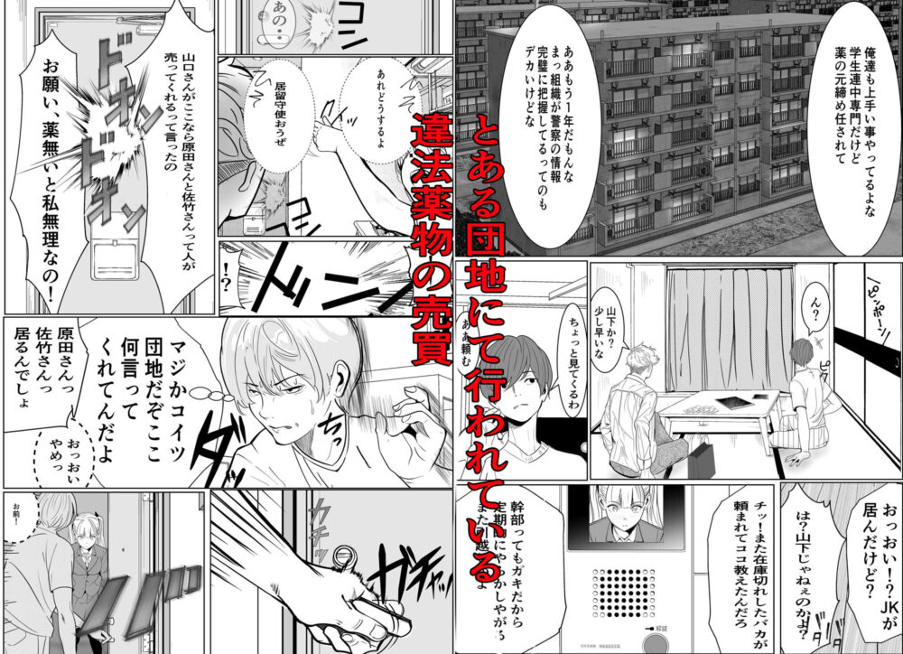 鬼強復讐女子が敗北し調教され堕ちる話 画像3