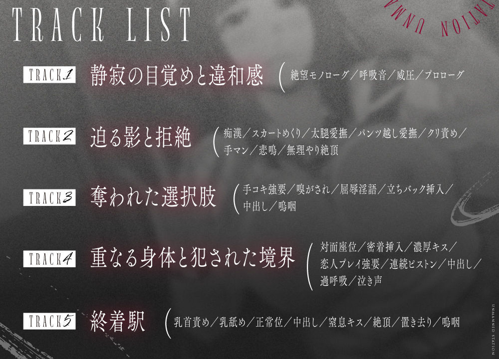 【無人駅ASMR】痴●×中出しレ●プ〜おとなしい巨乳少女を誰もいない電車内で凌●〜 画像4