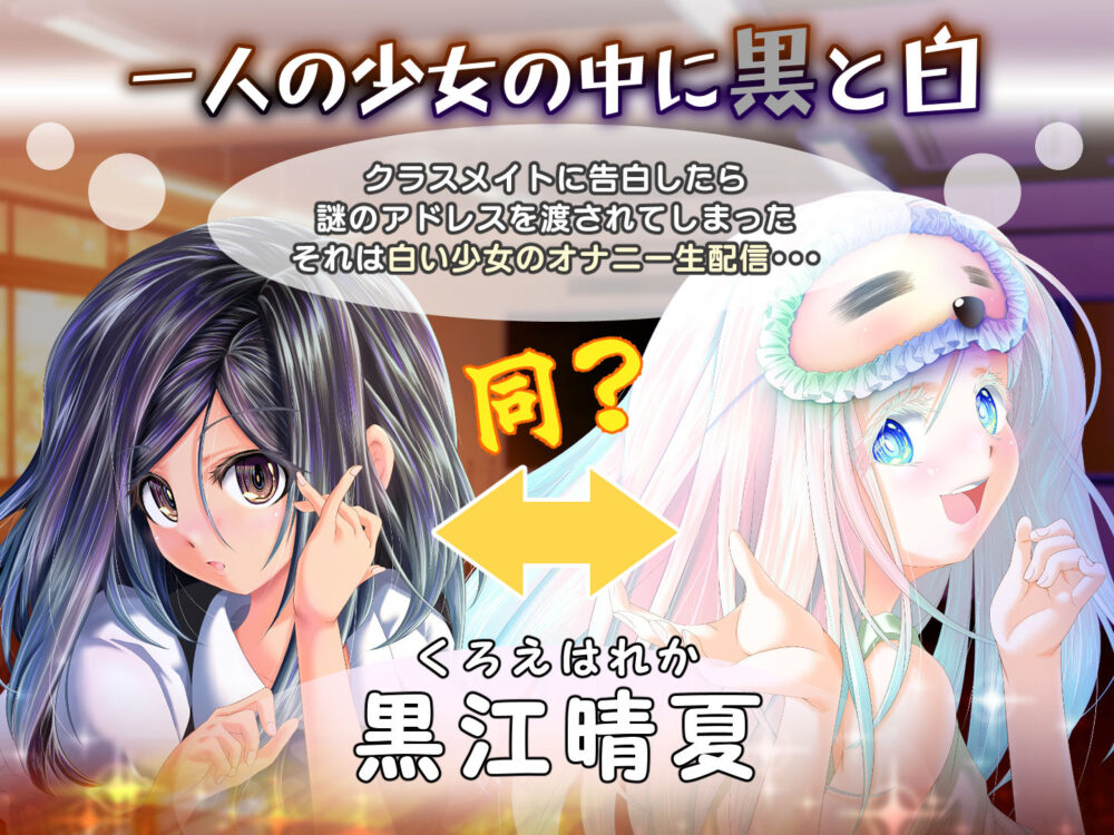 夕暮れまぐれの黒と白 画像1