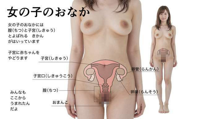 わたしたちのからだ〜こどもができるしくみ〜【実写風AIリメイク】 画像5